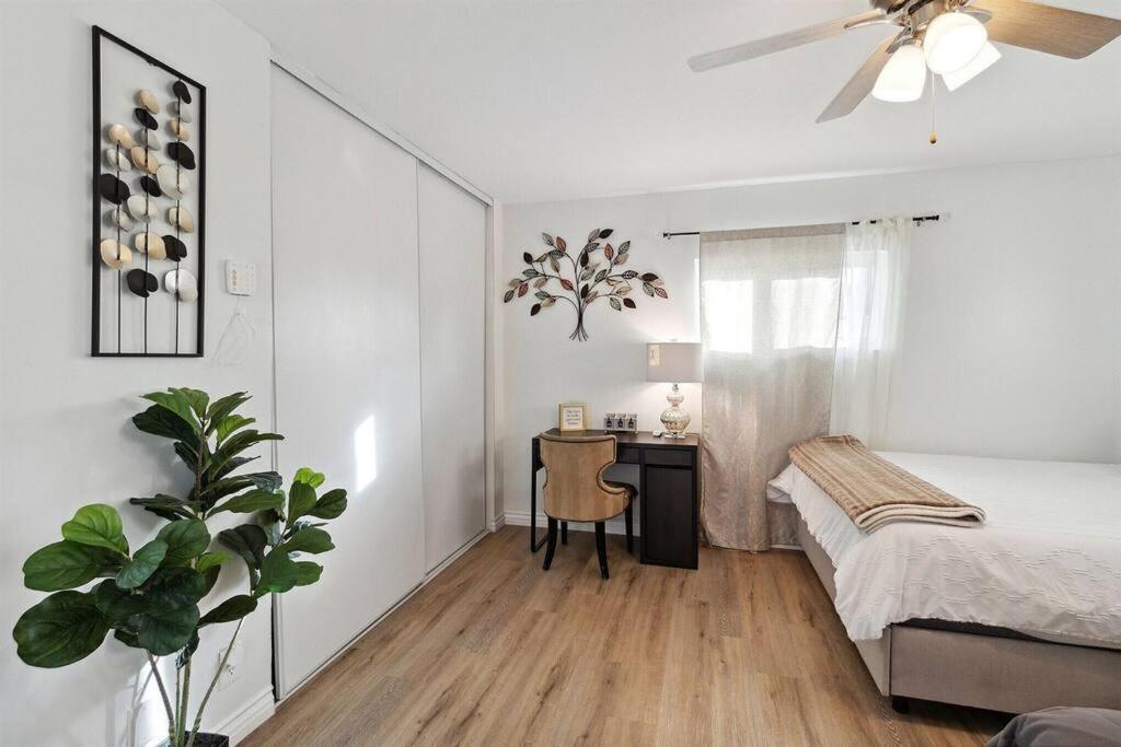 פאלמדייל Modern City Ranch 3 Bdrm Family Home Access By Dirt Road מראה חיצוני תמונה